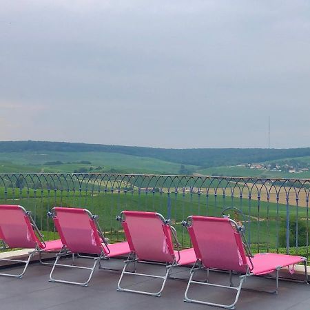 Fleury-la-RiviereFloressens En Champagne Terrasse Privative Sur Le Vignoble别墅 外观 照片