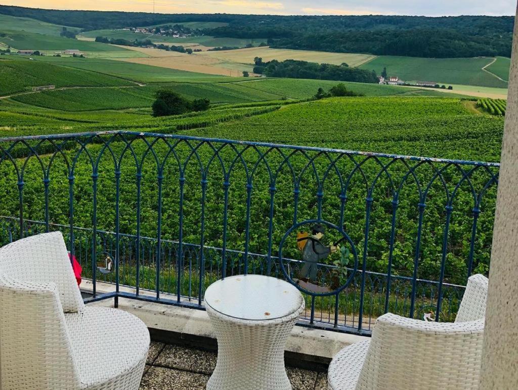 Fleury-la-RiviereFloressens En Champagne Terrasse Privative Sur Le Vignoble别墅 外观 照片